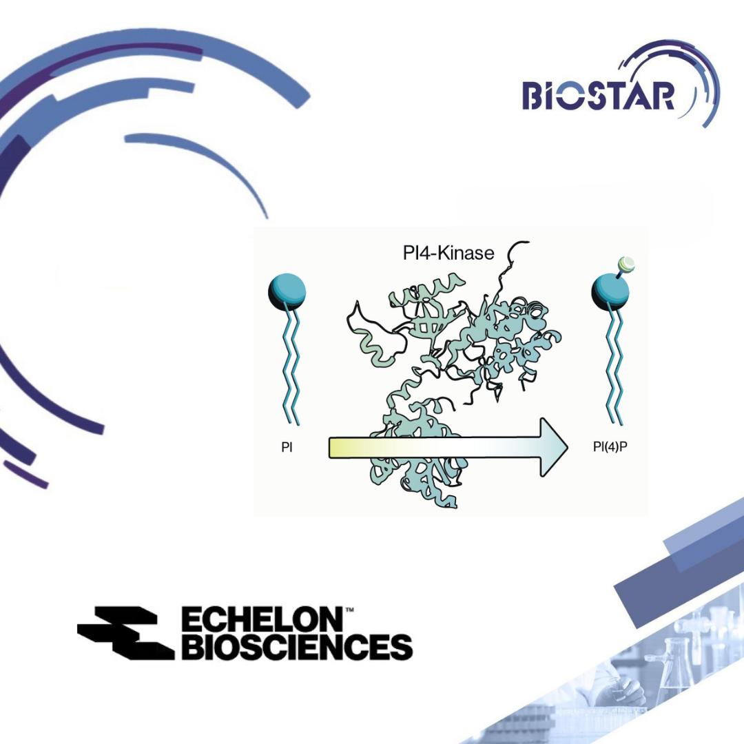 Echelon Biosciences