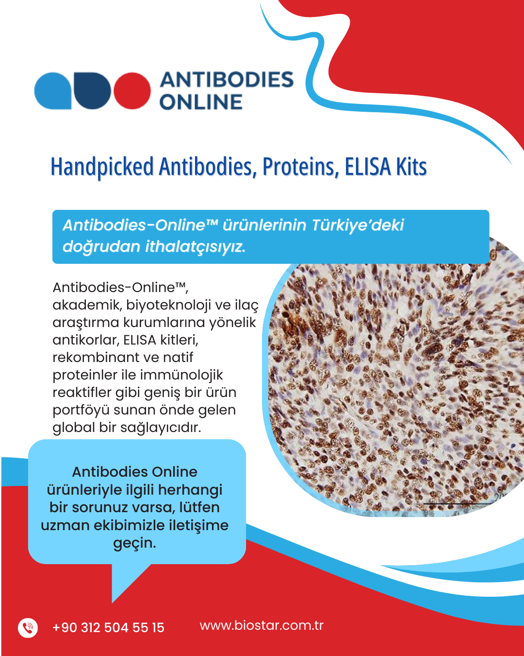 Antibodies online 