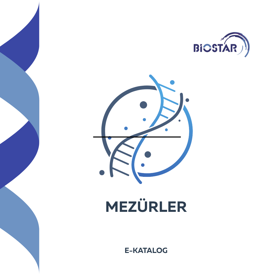 MEZÜRLER