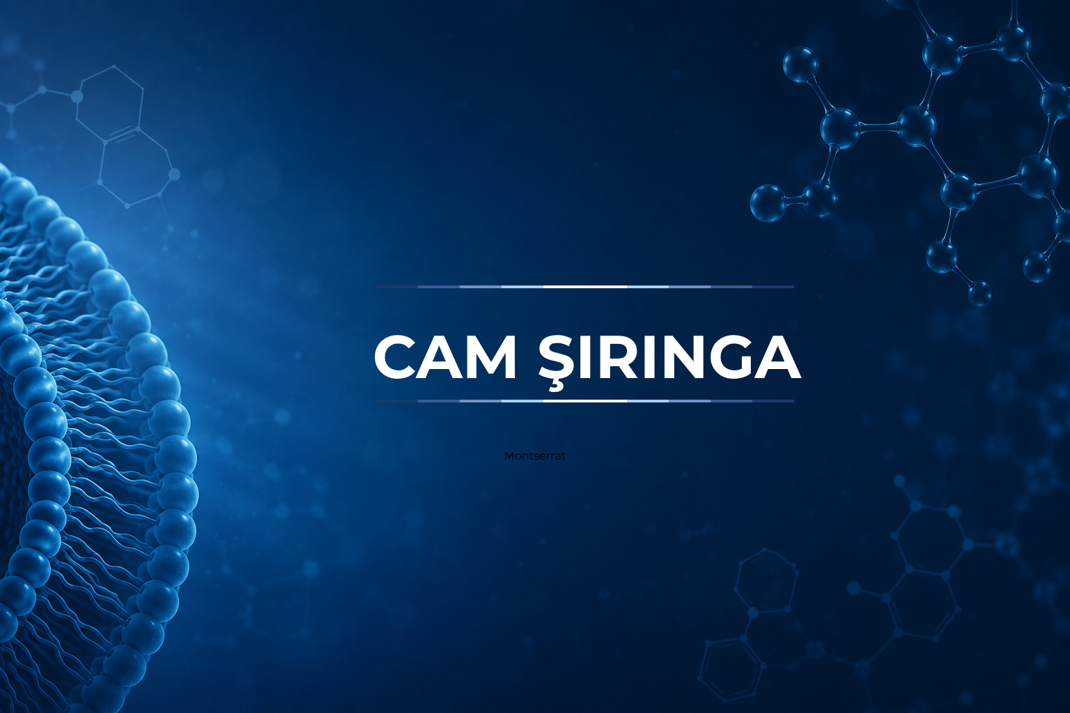 Cam Şırınga 