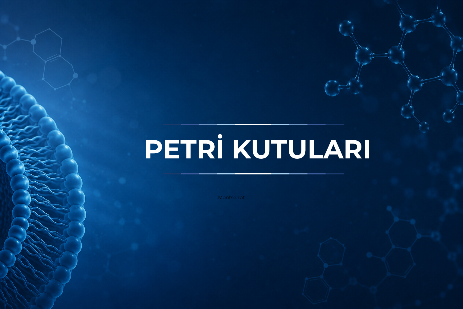 Petri Kutuları