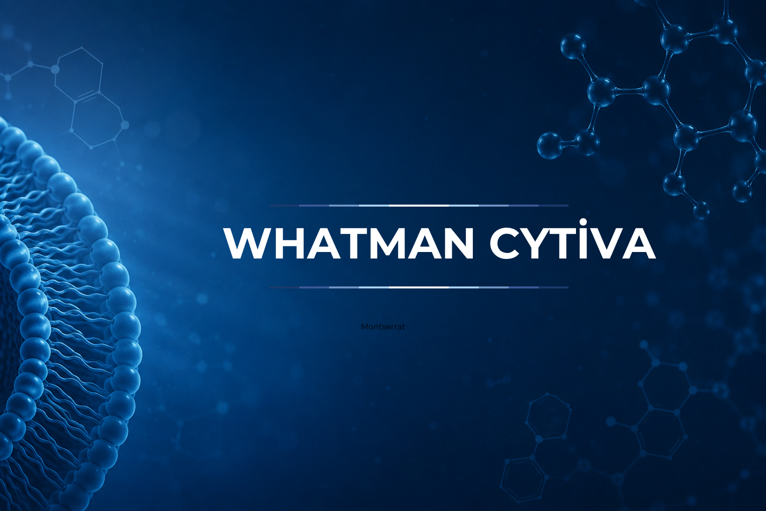 Whatman (cytiva)