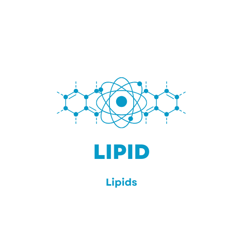 Lipids