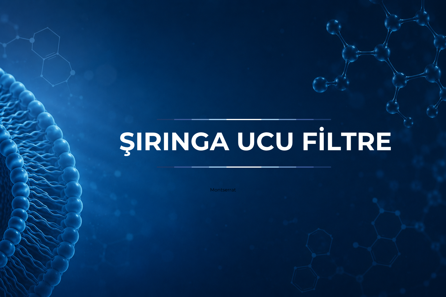 Şırınga ucu filtre