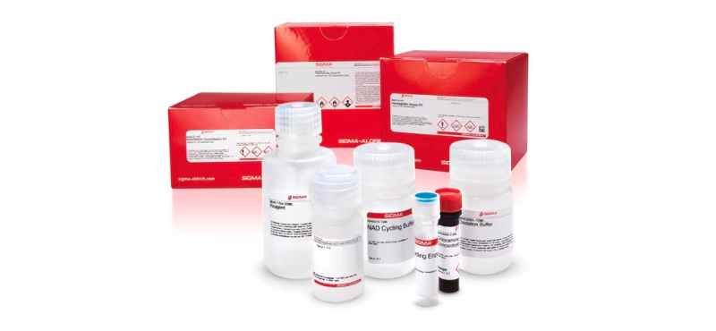 CS0740-1KT Acid phosphatase Assay Kit